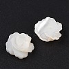 Natural White Shell Beads SSHEL-C012-06-2