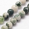 Natural Tree Agate Beads Strands G-N0192-01-3mm-3