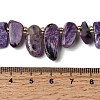 Natural Charoite Beads Strands G-P604-A29-01-5