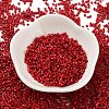 Baking Paint Glass Seed Beads X-SEED-S042-05B-89-2
