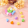 Acrylic European Beads MACR-TAC0001-28A-5