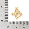 Brass Micro Pave Cubic Zirconia Pendants LS-KK-D091-04G-3