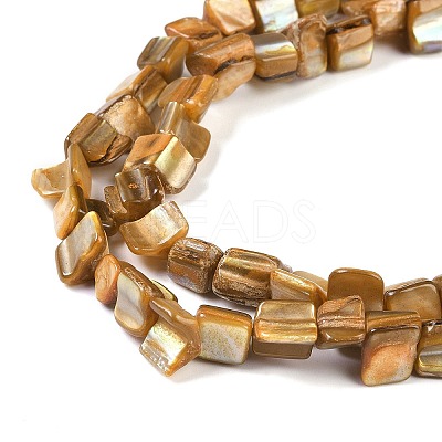 Dyed Natural Freshwater Shell Beads Strands SHEL-P016-01A-1