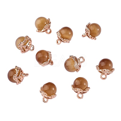 10Pcs Gemstone Charm Pendant Crystal Quartz Healing Natural Stone Pendants Buckle for Jewelry Necklace Earring Making Cra JX599J-1