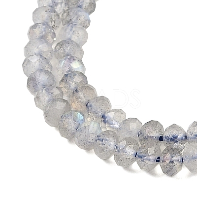 Natural Labradorite Beads Strands G-K366-A01-01-1