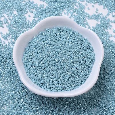 MIYUKI Delica Beads X-SEED-J020-DB0217-1