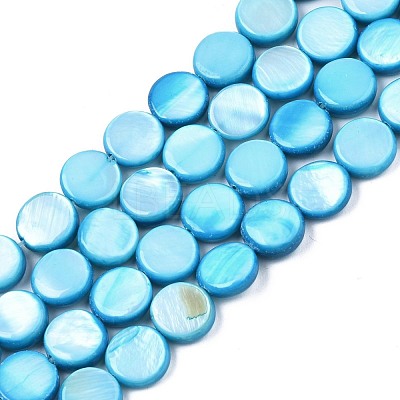 Freshwater Shell Beads Strands SHEL-T009-B16-05-1