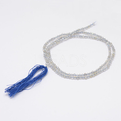 Natural Labradorite Beads Strands LS-G-E347-14-1