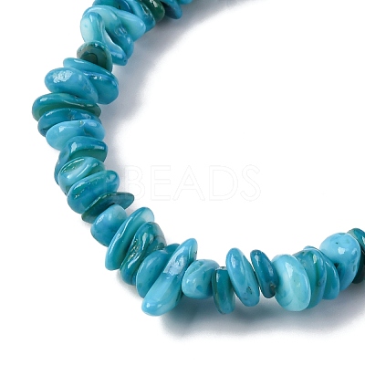 Natural Freshwater Shell Beads Strands BSHE-I016-01A-1