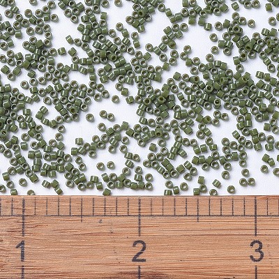 MIYUKI Delica Beads LS-X-SEED-J020-DB1135-1
