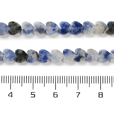 Natural Blue Spot Jasper Beads Strands G-M403-A21-02-1