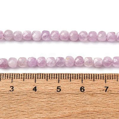 Natural Kunzite Beads Strands G-P587-C01-01-1