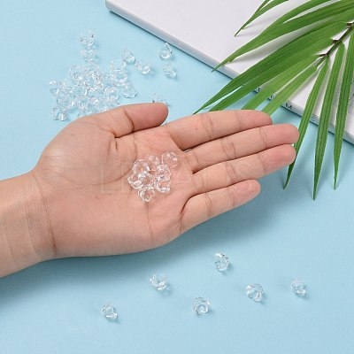 Transparent Acrylic Beads X-PL548-1-1