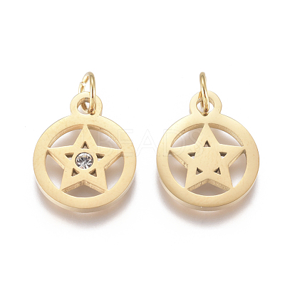 316 Surgical Stainless Steel Charms STAS-L242-04G-1