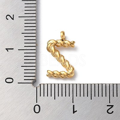 316 Surgical Stainless Steel Pendants & Charms STAS-D031-01Z-1