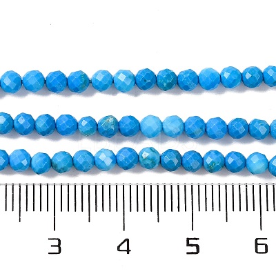 Natural Howlite Beads Strands G-C025-02B-10-1