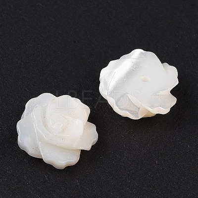 Natural White Shell Beads SSHEL-C012-06-1
