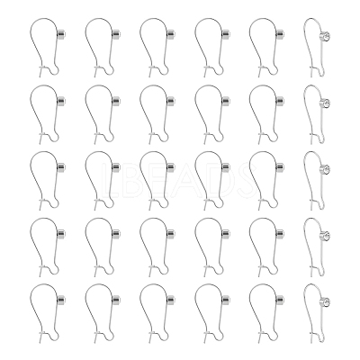 30Pcs 304 Stainless Steel Hoop Earrings Findings STAS-UN0049-86-1