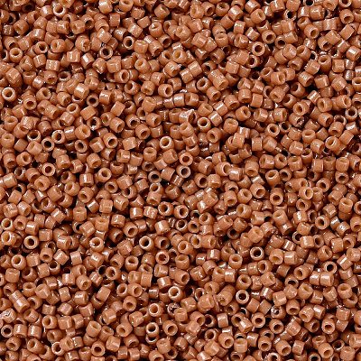 MIYUKI Delica Beads SEED-MY11-DB2107-1