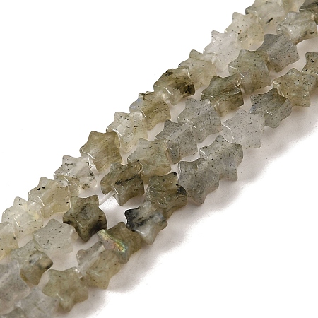 Natural Labradorite Beads Strands G-G085-B25-01-1