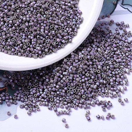 MIYUKI Delica Beads SEED-MY11-DB1065-1