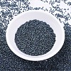 MIYUKI Delica Beads Small SEED-X0054-DBS0325-2