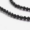 Natural Spinel Bead Strands X-G-P279-78-2mm-3