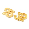 Rack Plating Alloy Pendants PALLOY-S190-06G-01-2