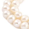 Natural Cultured Freshwater Pearl Beads Strands PEAR-C003-13F-X-4