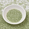 MIYUKI Delica Beads SEED-J020-DB1815-2