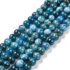 Natural Apatite Beads Strands X-G-S333-8mm-031A-1