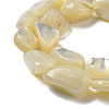 Natural White Shell Beads Strands SSHEL-H072-15-3