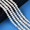Natural Cultured Freshwater Pearl Beads Strands PEAR-N013-04C-6