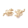 Brass Pendants KK-Q074-22G-2