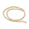 Natural Trochus Shell Beads Strands SSHEL-H072-13A-2