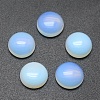 Natural & Synthetic Mixed Stone Cabochons G-E492-H-01-2