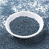 MIYUKI Round Rocailles Beads SEED-G007-RR0314-2