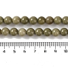 Natural Alashan Agate Beads Strands G-P530-B05-03-4