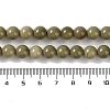 Natural Alashan Agate Beads Strands G-P530-B05-03-4