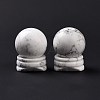 Natural Howlite Display Decorations DJEW-G032-02J-2