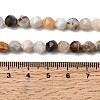 Natural Bamboo Leaf Agate Beads Strands G-Z119-A27-01-6