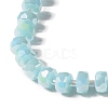 Glass Beads Strands GLAA-G097-05B-3