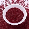 MIYUKI Delica Beads X-SEED-J020-DB0602-2