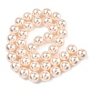 Electroplated Shell Pearl Beads Strands BSHE-G041-10mm-04-4