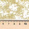MIYUKI Delica Beads X-SEED-J020-DB2502-3