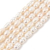 Natural Cultured Freshwater Pearl Beads Strands PEAR-I007-01B-03B-2