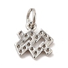 Brass Micro Pave Cubic Zirconia Charms KK-E077-02P-09-2