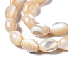 Natural Trochid Shell/Trochus Shell Beads Strands SSHEL-S266-021B-02-3