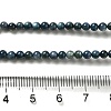 Natural Freshwater Shell Beads Strands SHEL-H003-03C-4