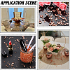 6300Pcs Acrylic Rhinestone Pointed Back Cabochons GACR-SP0001-03A-5